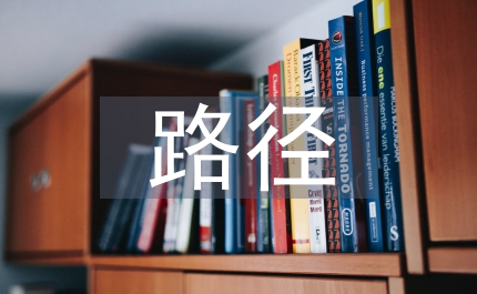 外匯儲(chǔ)備困境路徑研究