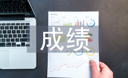 期中成績(jī)總結(jié)