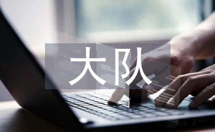 年少先大隊(duì)匯報(bào)材料
