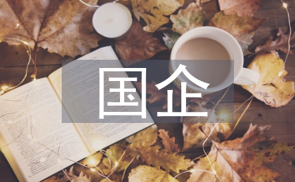 國企公共經(jīng)濟(jì)學(xué)論文