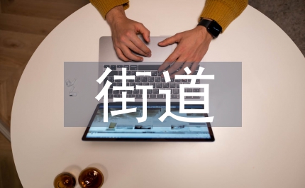 街道全年工作總結(jié)及工作謀劃