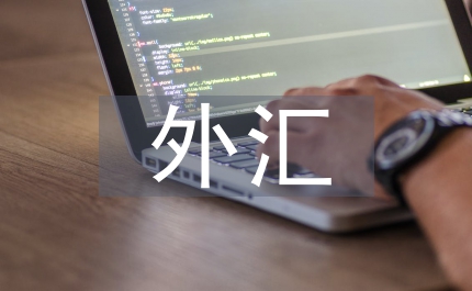 外匯收支論文