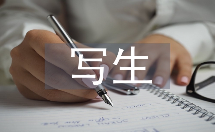 風(fēng)景寫生管理