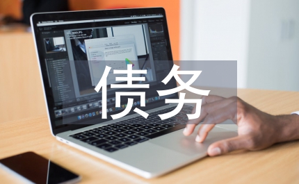 地方債務(wù)審計(jì)